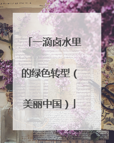 一滴卤水里的绿色转型（美丽中国）