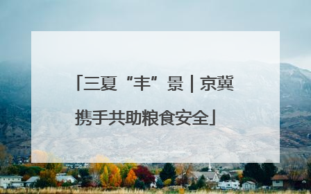 三夏“丰”景｜京冀携手共助粮食安全