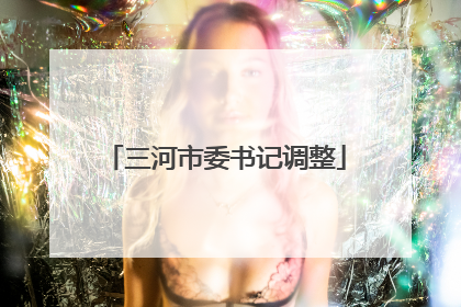 三河市委书记调整