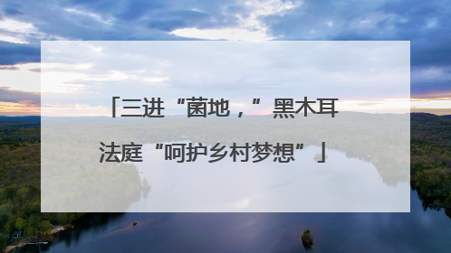 三进“菌地，”黑木耳法庭“呵护乡村梦想”