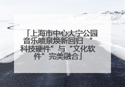 上海市中心大宁公园音乐喷泉焕新回归 “科技硬件”与“文化软件”完美融合