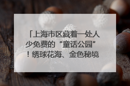 上海市区藏着一处人少免费的“童话公园”！绣球花海、金色秘境……地铁直达→