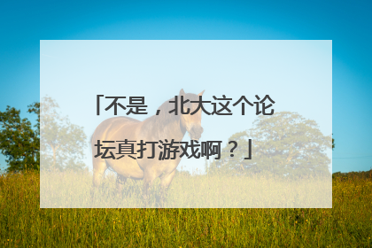 不是，北大这个论坛真打游戏啊？