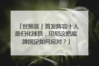 世预赛｜首发阵容十人是归化球员，印尼这把底牌国足如何应对？