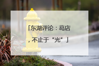 东湖评论：葛店，不止于“光”