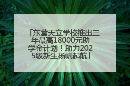 东营天立学校推出三年最高18000元助学金计划！助力2025级新生扬帆起航