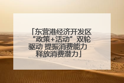 东营港经济开发区“政策+活动”双轮驱动 提振消费能力 释放消费潜力