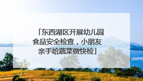 东西湖区开展幼儿园食品安全检查，小朋友亲手给蔬菜做快检