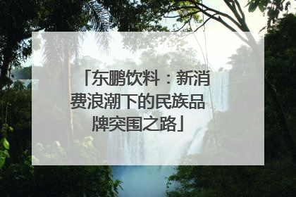 东鹏饮料：新消费浪潮下的民族品牌突围之路