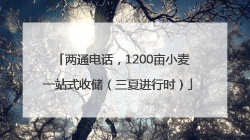 两通电话，1200亩小麦一站式收储（三夏进行时）