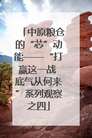 中原粮仓的“芯”动能——“打赢这一战 底气从何来”系列观察之四