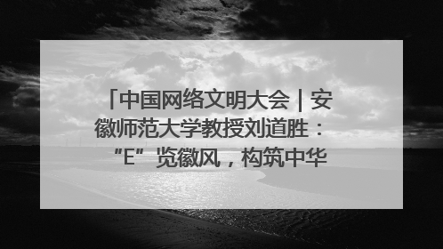 中国网络文明大会｜安徽师范大学教授刘道胜：“E”览徽风，构筑中华民族共有精神家园