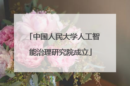 中国人民大学人工智能治理研究院成立
