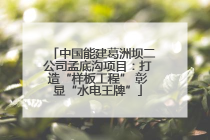 中国能建葛洲坝二公司孟底沟项目：打造“样板工程” 彰显“水电王牌”