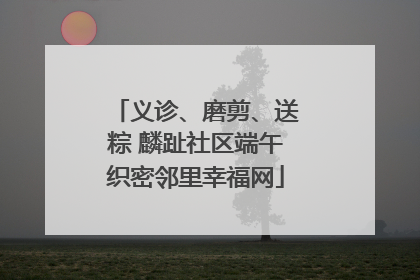 义诊、磨剪、送粽 麟趾社区端午织密邻里幸福网