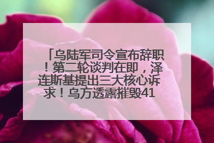乌陆军司令宣布辞职！第二轮谈判在即，泽连斯基提出三大核心诉求！乌方透露摧毁41架俄战略轰炸机