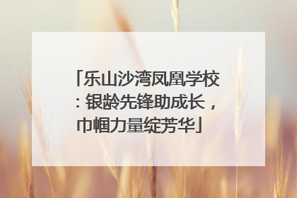 乐山沙湾凤凰学校：银龄先锋助成长，巾帼力量绽芳华