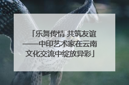 乐舞传情 共筑友谊——中印艺术家在云南文化交流中绽放异彩