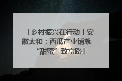 乡村振兴在行动丨安徽太和：西瓜产业铺就“甜蜜”致富路