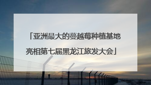 亚洲最大的蔓越莓种植基地亮相第七届黑龙江旅发大会