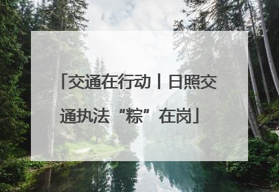 交通在行动丨日照交通执法“粽”在岗