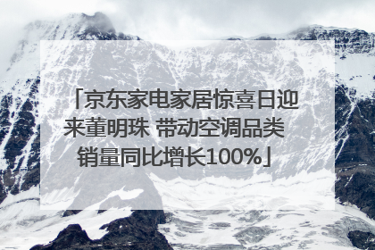 京东家电家居惊喜日迎来董明珠 带动空调品类销量同比增长100%