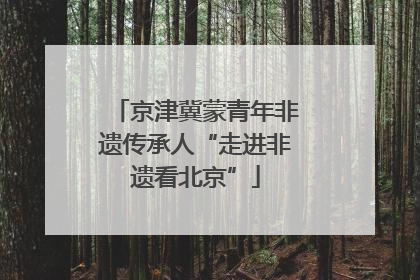 京津冀蒙青年非遗传承人“走进非遗看北京”