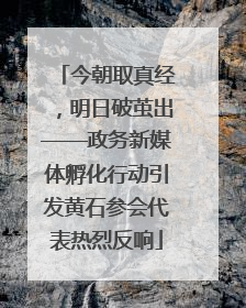 今朝取真经，明日破茧出——政务新媒体孵化行动引发黄石参会代表热烈反响