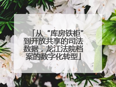 从“库房铁柜”到开放共享的司法数据，龙江法院档案的数字化转型