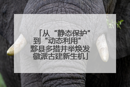从“静态保护”到“动态利用” 黟县多措并举焕发徽派古建新生机