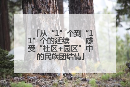 从“1”个到“11”个的延续——感受“社区+园区”中的民族团结情