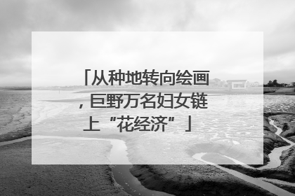 从种地转向绘画，巨野万名妇女链上“花经济”