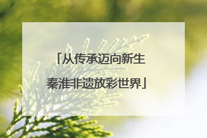 从传承迈向新生 秦淮非遗放彩世界