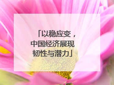 以稳应变，中国经济展现韧性与潜力