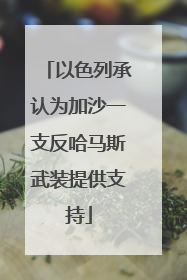 以色列承认为加沙一支反哈马斯武装提供支持