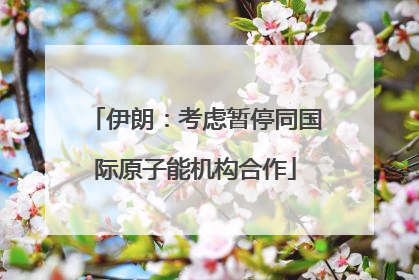 伊朗：考虑暂停同国际原子能机构合作