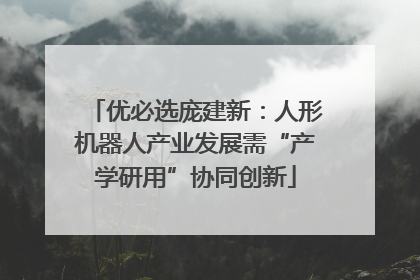 优必选庞建新：人形机器人产业发展需“产学研用”协同创新