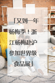 又到一年杨梅季！浙江杨梅赴沪参加世界级食品展
