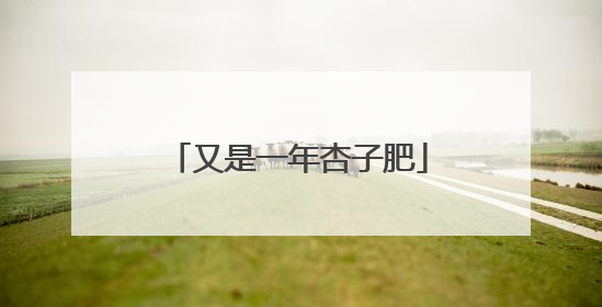 又是一年杏子肥