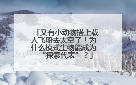 又有小动物搭上载人飞船去太空了！为什么模式生物能成为“探索代表”？