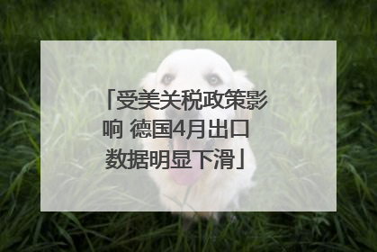 受美关税政策影响 德国4月出口数据明显下滑