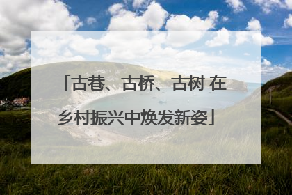 古巷、古桥、古树 在乡村振兴中焕发新姿