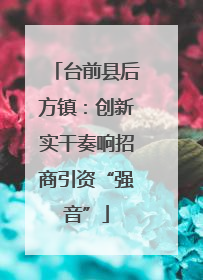 台前县后方镇：创新实干奏响招商引资“强音”