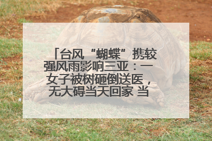台风“蝴蝶”携较强风雨影响三亚：一女子被树砸倒送医，无大碍当天回家 当地已紧急清障