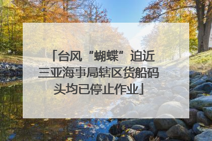 台风“蝴蝶”迫近 三亚海事局辖区货船码头均已停止作业
