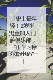 史上最年轻！2岁半男童加入门萨俱乐部，“正学习摩尔斯电码”