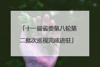 十一届省委第八轮第二批次巡视完成进驻