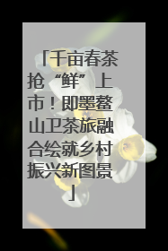千亩春茶抢“鲜”上市！即墨鳌山卫茶旅融合绘就乡村振兴新图景