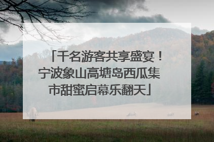 千名游客共享盛宴！宁波象山高塘岛西瓜集市甜蜜启幕乐翻天