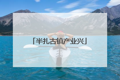 半扎古镇产业兴